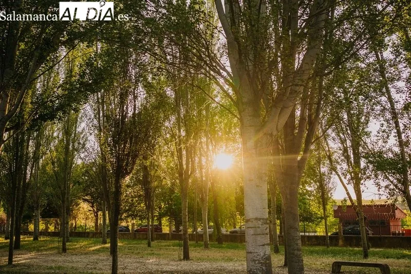 Foto 4 - Un nuevo comienzo para el Camping Municipal Alba de Tormes