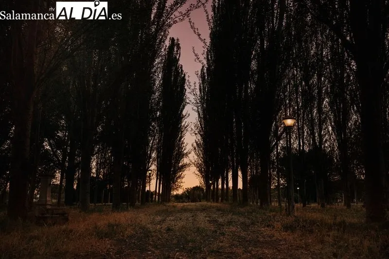 Foto 2 - Un nuevo comienzo para el Camping Municipal Alba de Tormes