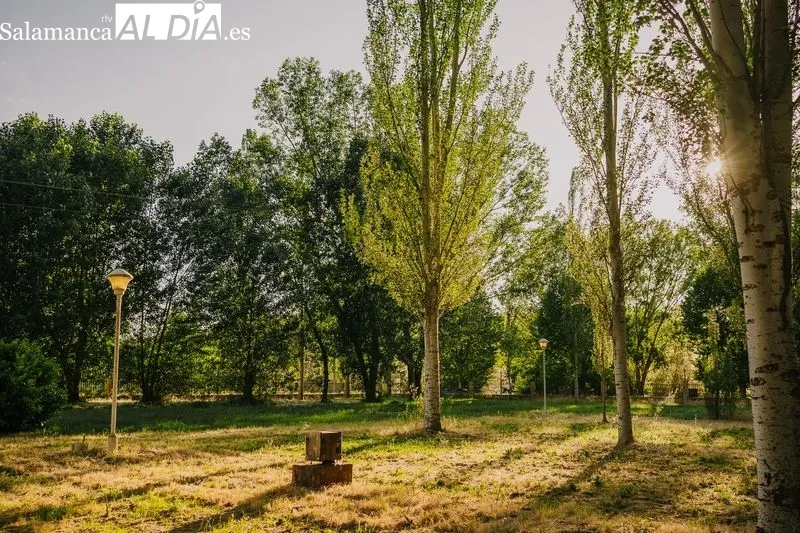 Foto 11 - Un nuevo comienzo para el Camping Municipal Alba de Tormes