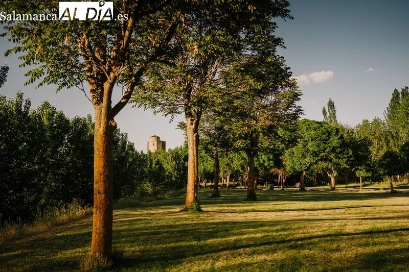 Foto 9 - Un nuevo comienzo para el Camping Municipal Alba de Tormes