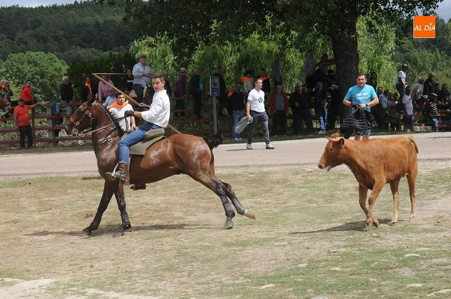 Ambiente y momentos en el encierro a caballo de Navasfrías/ Fotos: Adrián M. Pastor
