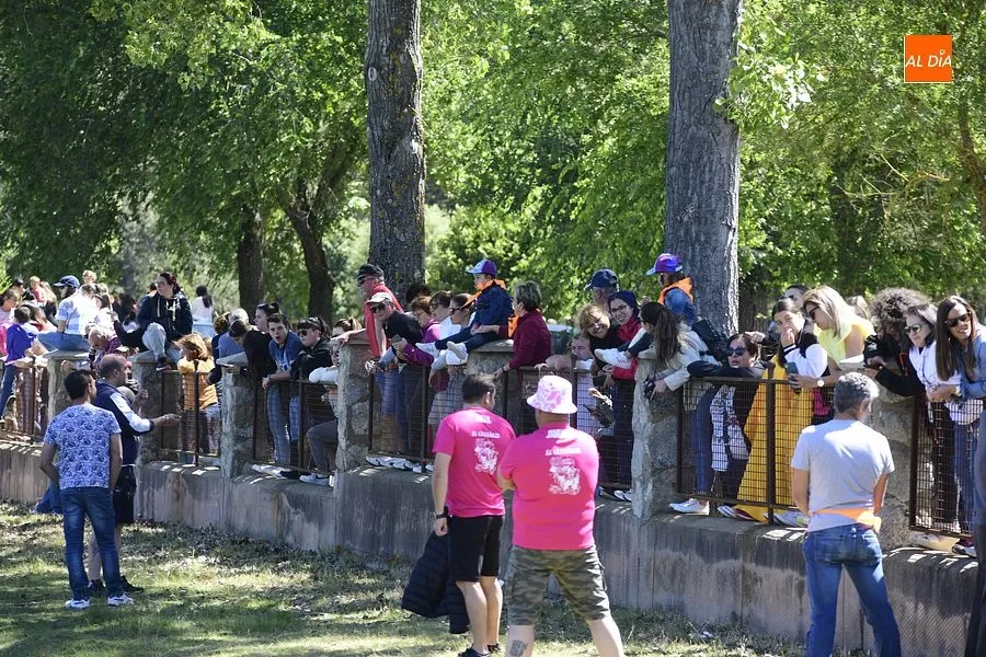 Foto 15 - &Eacute;xito en el segundo encierro a caballo de Navasfr&iacute;as