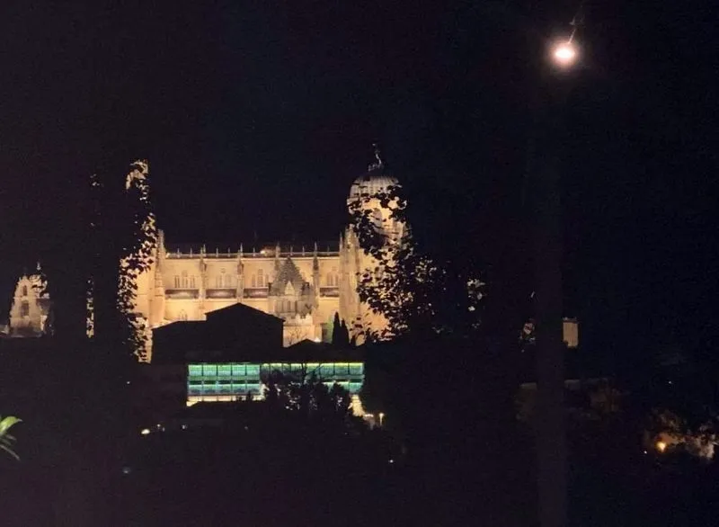 Cata ciega de Pago de los Capellanes 2019 / FOTOS: JAVIER BRAGADO