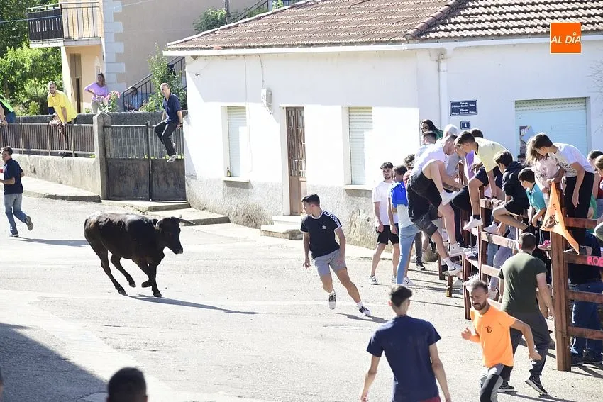 Capea en Robleda durante la fiestas de San Juan/ Fotos: Adrián M. Pastor