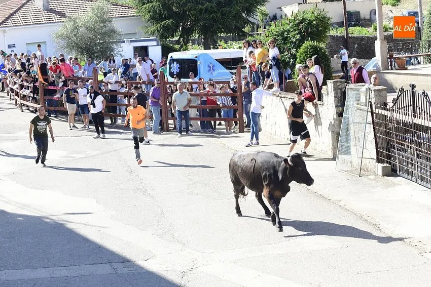 Capea en Robleda durante la fiestas de San Juan/ Fotos: Adrián M. Pastor