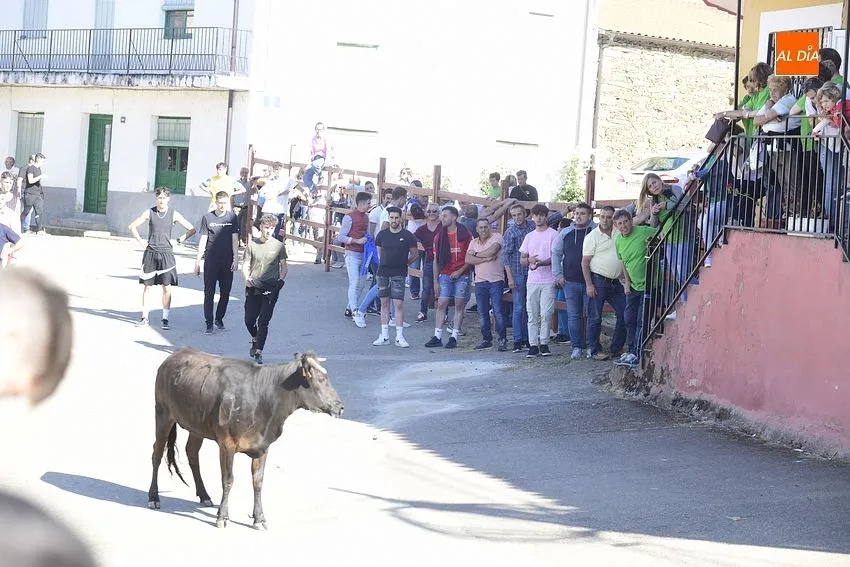 Capea en Robleda durante la fiestas de San Juan/ Fotos: Adrián M. Pastor