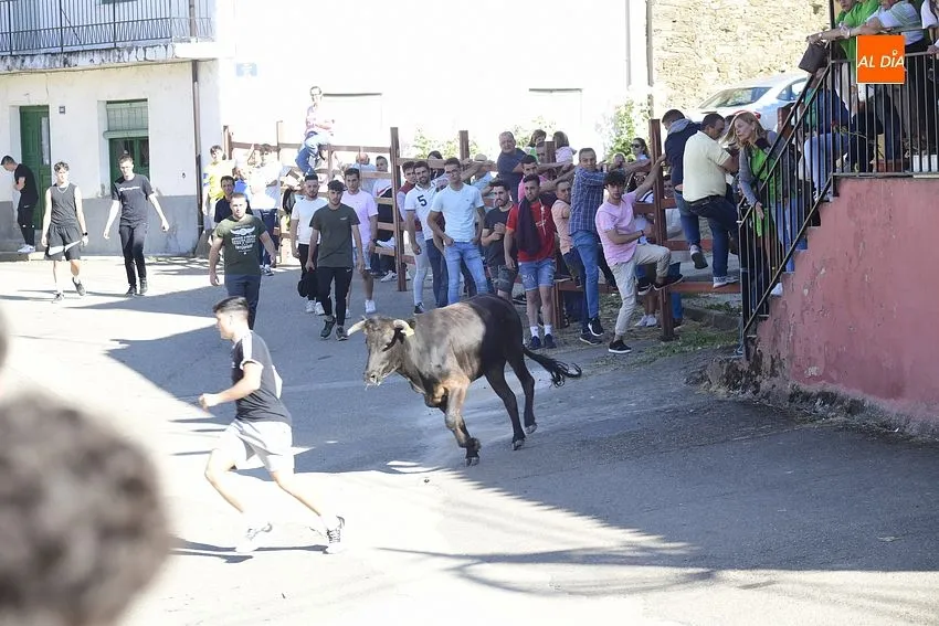 Capea en Robleda durante la fiestas de San Juan/ Fotos: Adrián M. Pastor