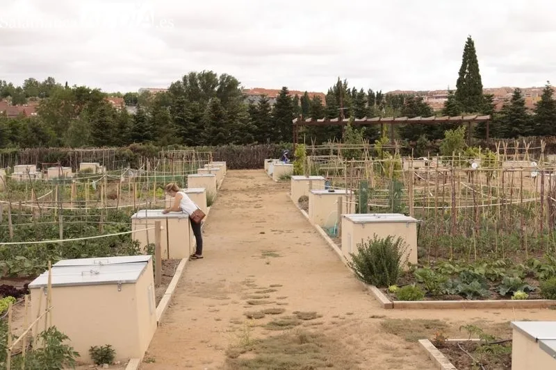 Presentación de los nuevos huertos urbanos que tendrá Salamanca. Foto de David Sañudo