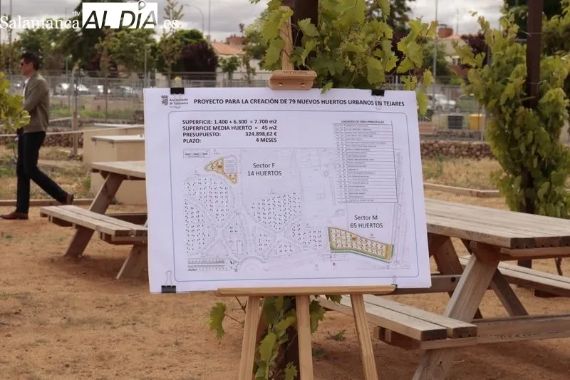 Presentación de los nuevos huertos urbanos que tendrá Salamanca. Foto de David Sañudo