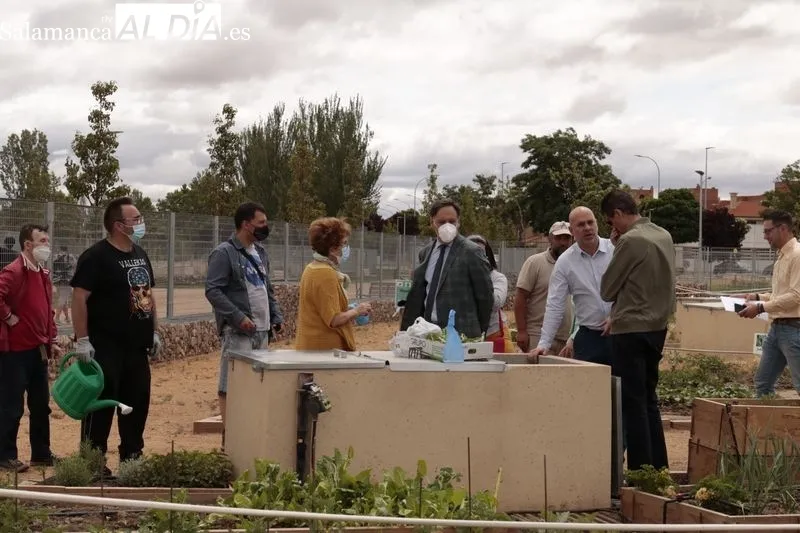 Presentación de los nuevos huertos urbanos que tendrá Salamanca. Foto de David Sañudo