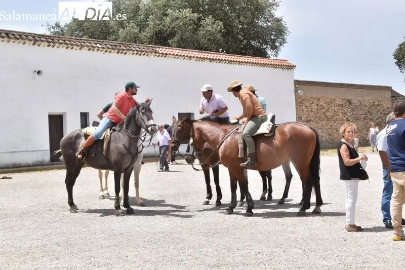 Imágenes de los romeros en la ermita del Cristo de Cabrera y sus alrededores 