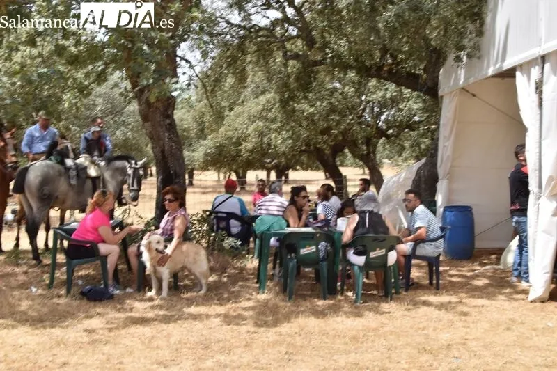 Imágenes de los romeros en la ermita del Cristo de Cabrera y sus alrededores 