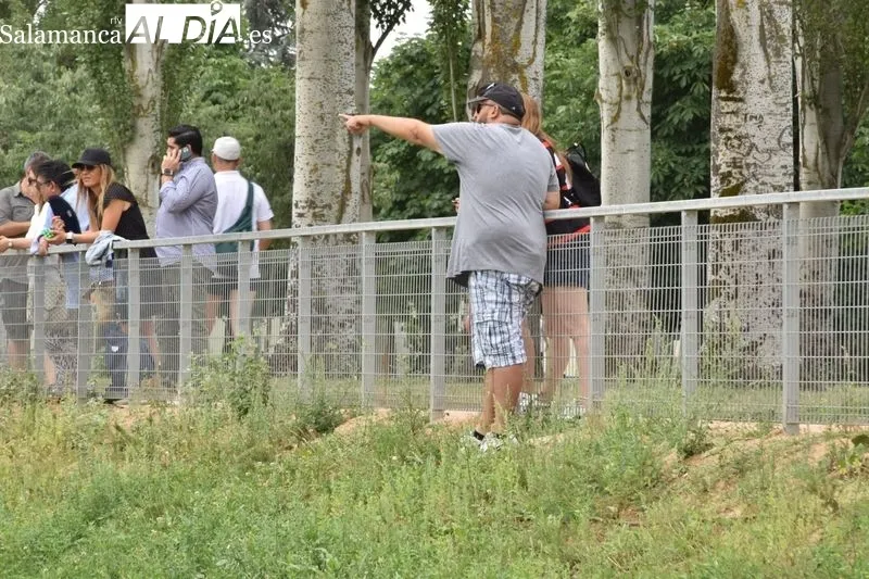Foto 5 - El Salamanca Rugby Club vive su fiesta de fin de temporada