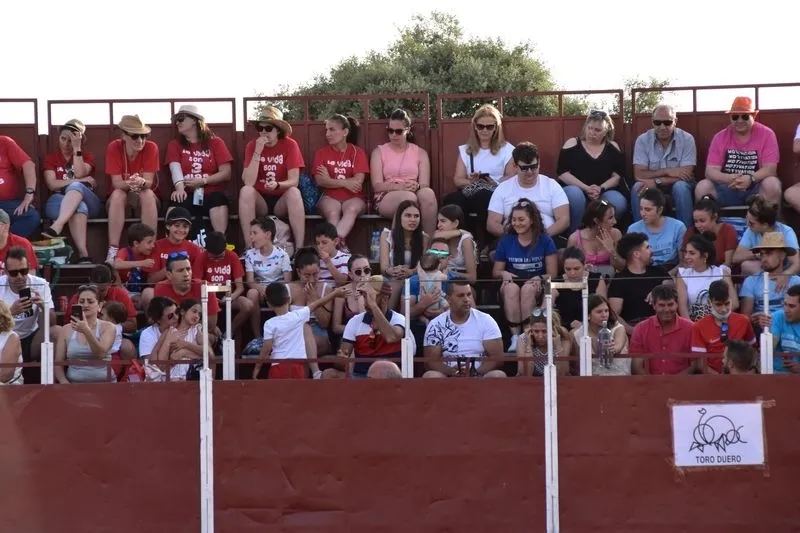 Concurso de recortes en Villares de la Reina