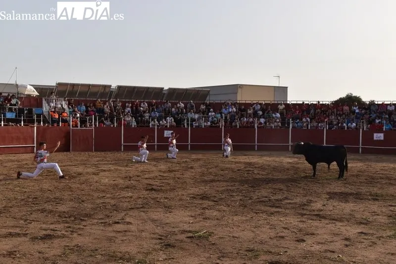 Concurso de recortes en Villares de la Reina