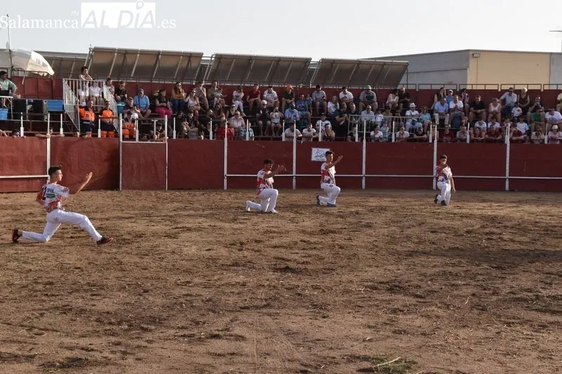 Concurso de recortes en Villares de la Reina