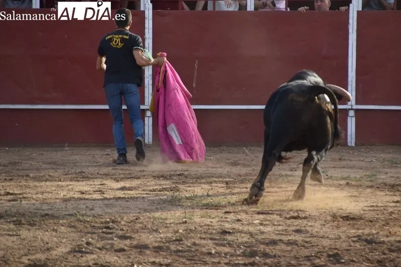 Concurso de recortes en Villares de la Reina