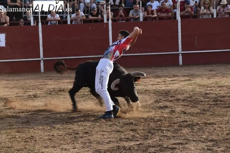 Concurso de recortes en Villares de la Reina