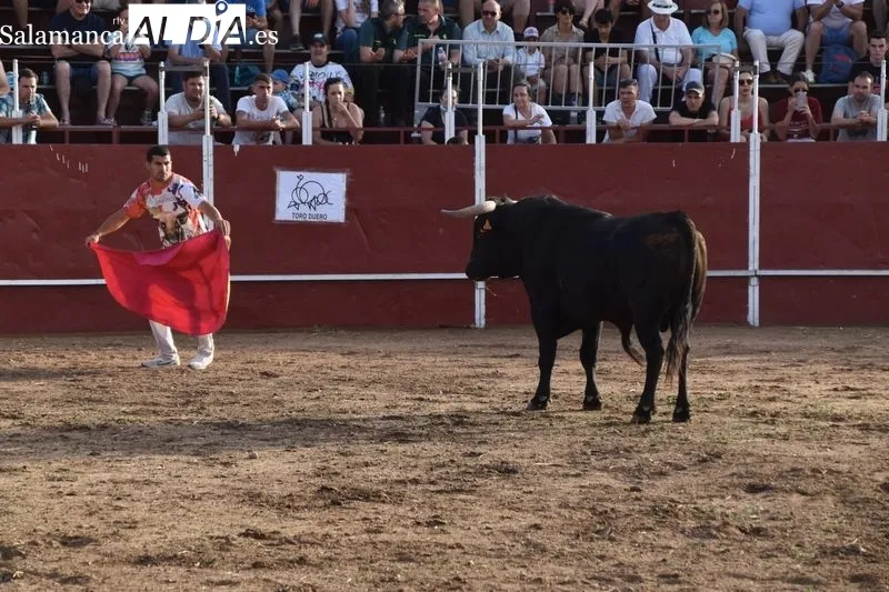 Concurso de recortes en Villares de la Reina