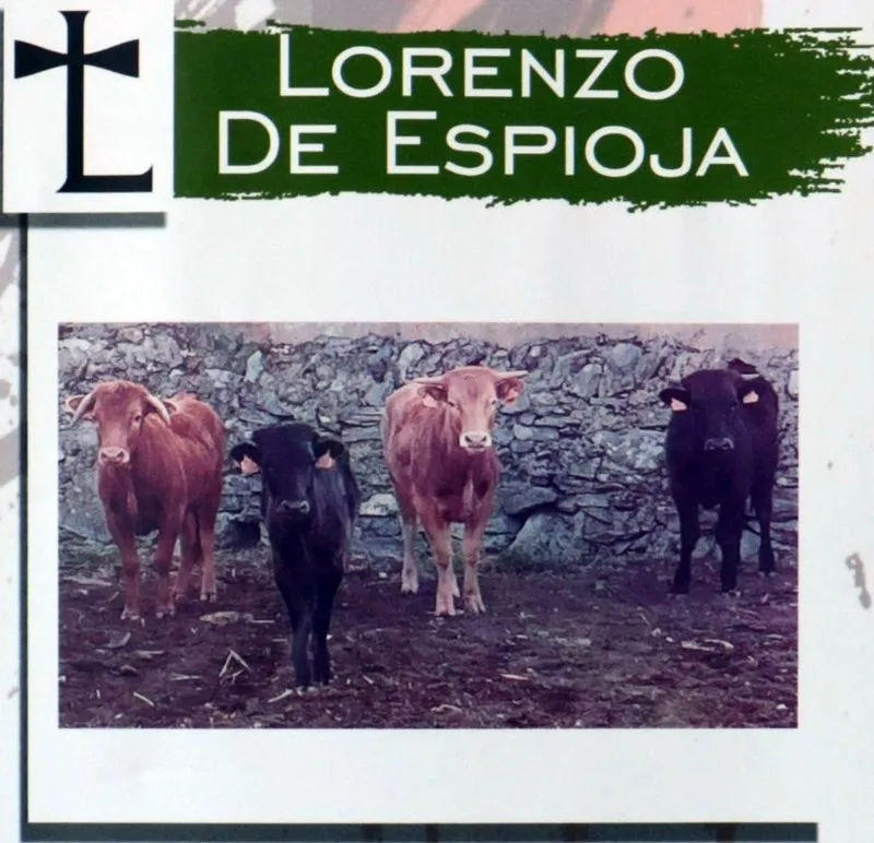 Reses que saltarán a  las calles y plaza de toros de Vitigudino estos Corpus