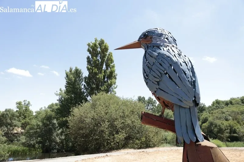 El alcalde de Santa Marta, David Mingo y la artista, Coral Corona, presentarán la nueva escultura del proyecto de 'Arte Emboscado'. Foto de David Sañudo