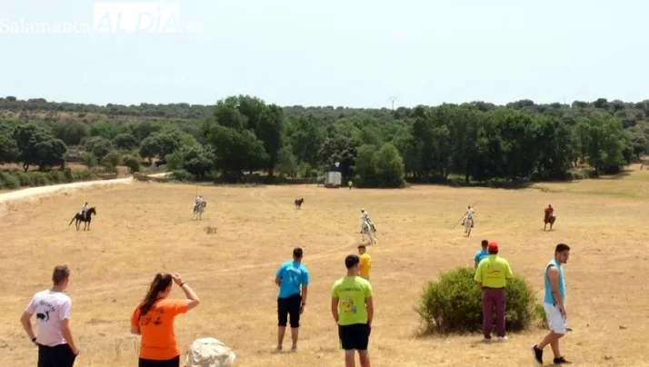 CLASIFICACIONES | Unionistas, en tierra de nadie; el Salamanca UDS, en triple empate por el playoff; el Perfumer&iacute;as Avenida, cuarto... y m&aacute;s | Imagen 2