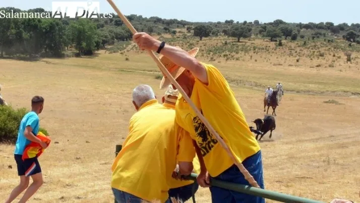 As&iacute; quedan las clasificaciones para Avenida, Unionistas, Salamanca UDS, Tercera RFEF o Divisi&oacute;n de Honor tras el segundo 'finde' de 2026 | Imagen 4