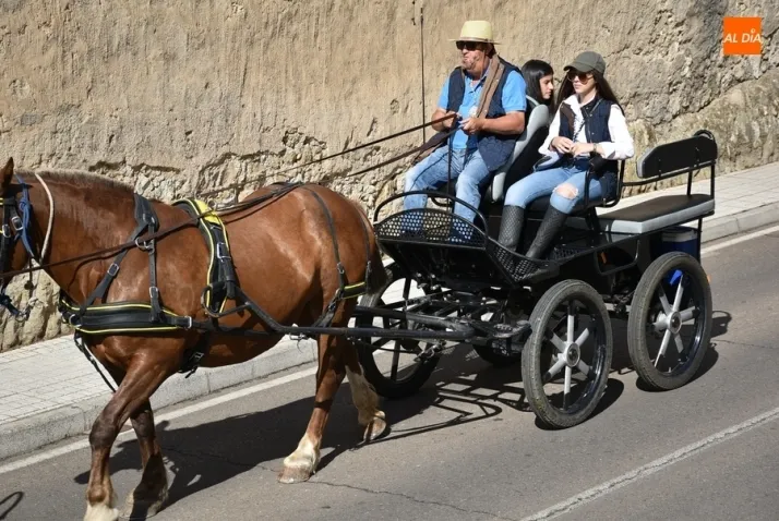 1Foto: Paso a la Semana Santa | Imagen 1