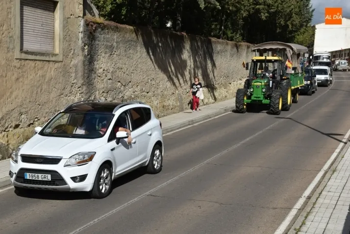 Sustituidos otros dos árboles de la Plazuela de San Salvador | Imagen 1