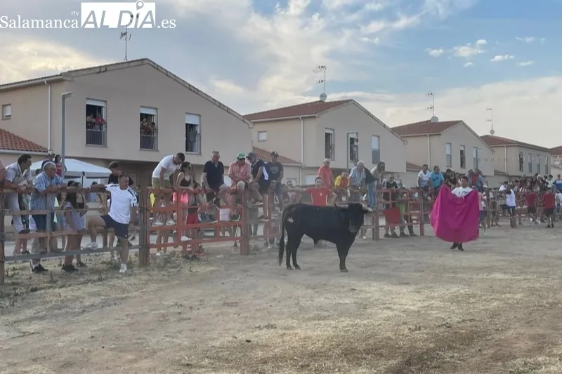 Villoruela se llenaba de aficionados para vivir el encierro del Toro del Cajòn