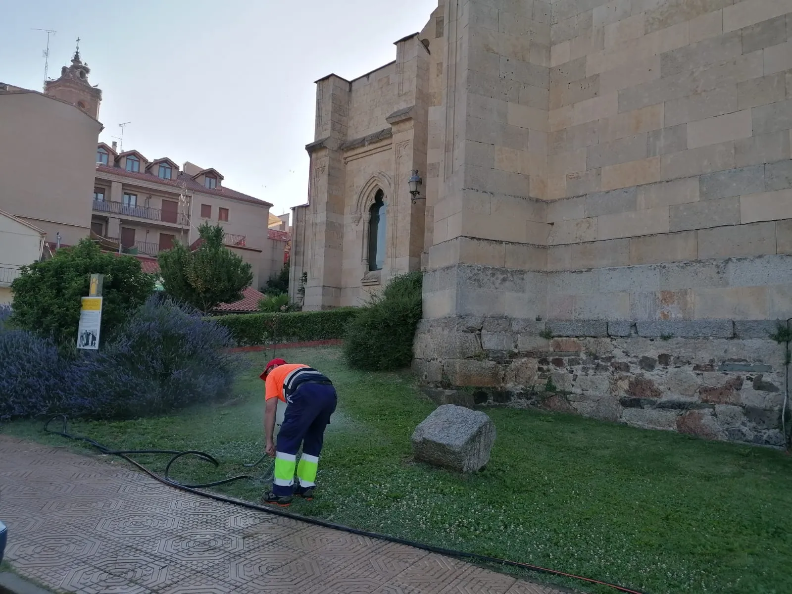 Foto 3 - Trabajos de desbrozado en diferentes zonas de Alba de Tormes