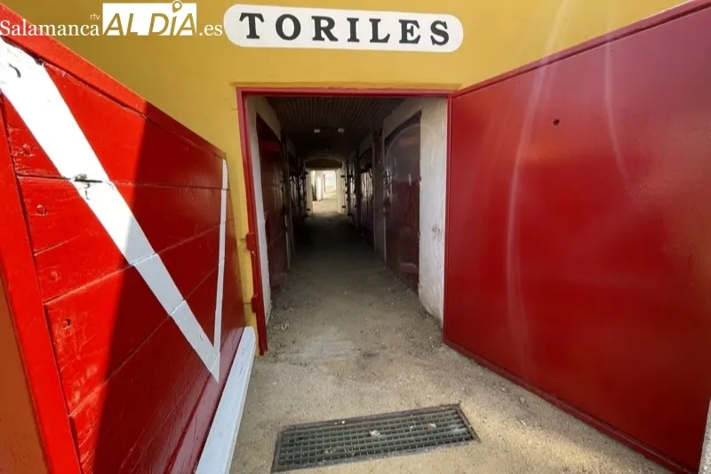 Foto 3 - El Ayuntamiento invierte 10.000 euros en mejoras y reformas en la centenaria Plaza de toros La Florida