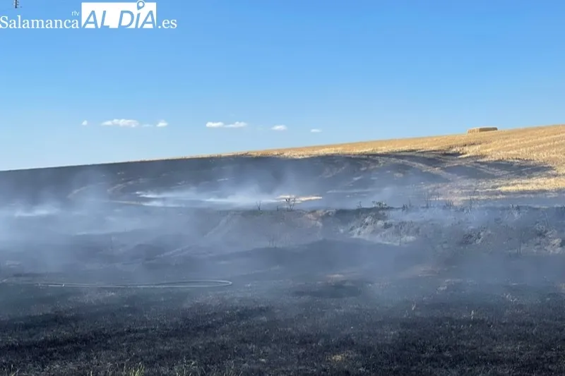 Foto 6 - Bomberos de Pe&ntilde;aranda sofocan un violento incendio declarado en el termino de Nava de Sotrobal