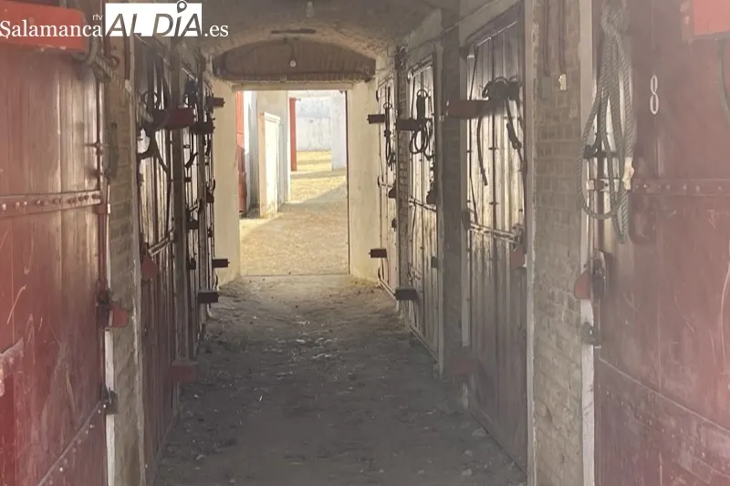 Foto 5 - El Ayuntamiento invierte 10.000 euros en mejoras y reformas en la centenaria Plaza de toros La Florida
