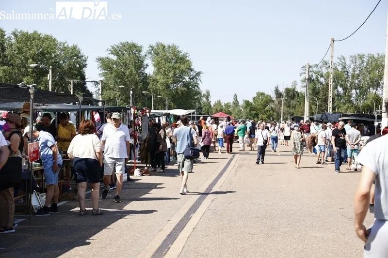El rastro de La Aldehuela durante la mañana de este domingo