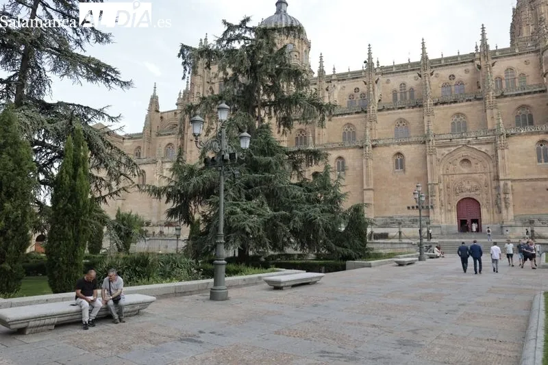 Efectos del calor se dejan notar en las calles salmantinas
