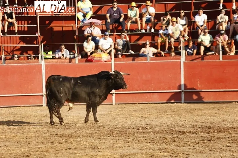 Imágenes de la séptima edición del trofeo 'Charro de Oro' y segunda eliminatoria del ‘Castellano de Oro’