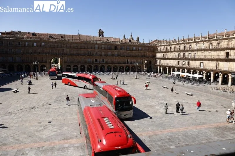 Autobuses que lucirán vinilos promocionales de Salamanca. Fotos: David Sañudo