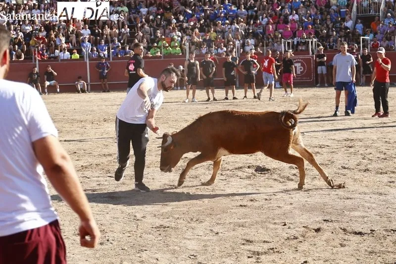 Imágenes de la capea celebrada en la tarde de este viernes en Santa Marta de Tormes