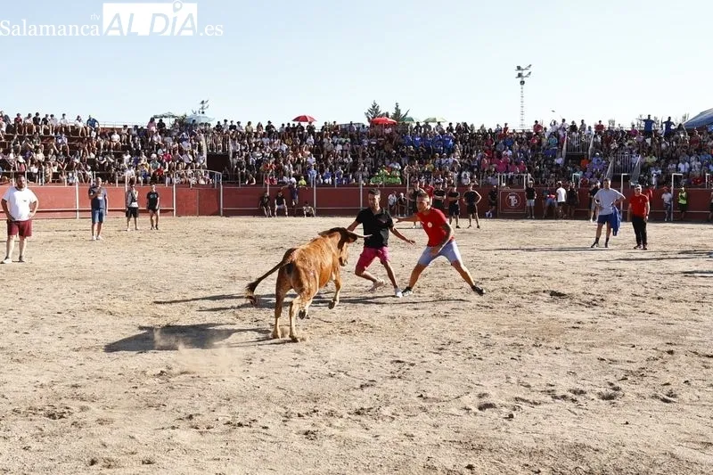 Imágenes de la capea celebrada en la tarde de este viernes en Santa Marta de Tormes