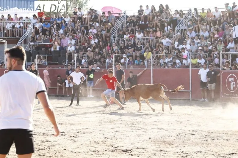 Imágenes de la capea celebrada en la tarde de este viernes en Santa Marta de Tormes