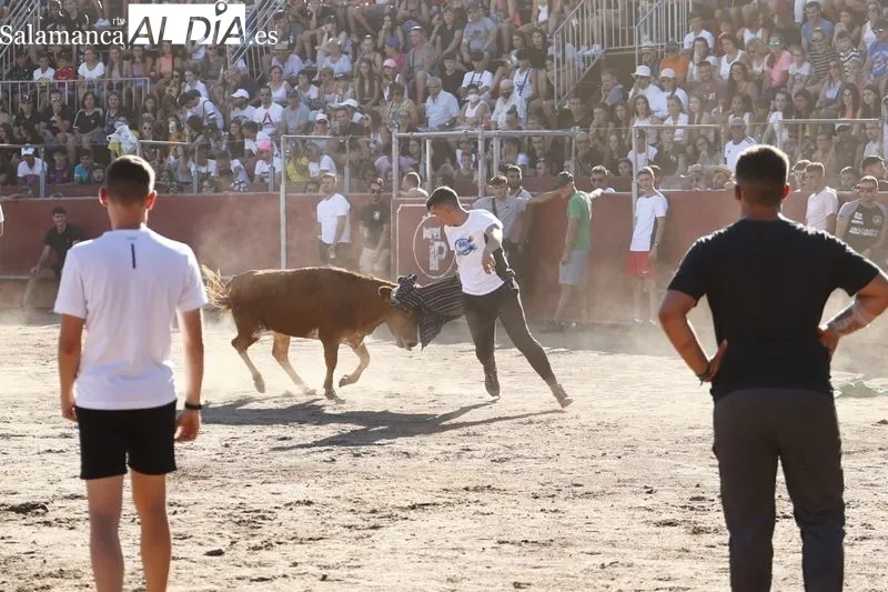 Imágenes de la capea celebrada en la tarde de este viernes en Santa Marta de Tormes