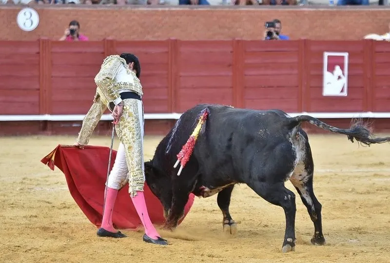Actuaciones de Ismael Martín y Jesús de la Calzada. Fotos: @CircuitoNovilladasCyL  