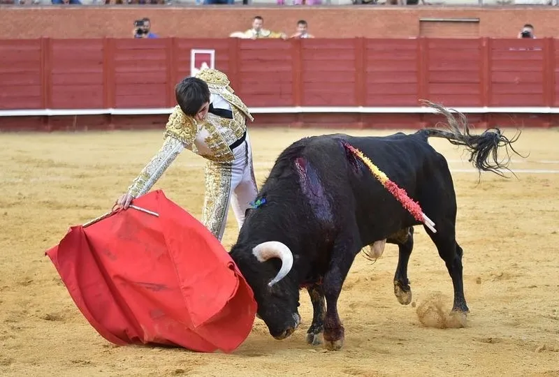 Actuaciones de Ismael Martín y Jesús de la Calzada. Fotos: @CircuitoNovilladasCyL  