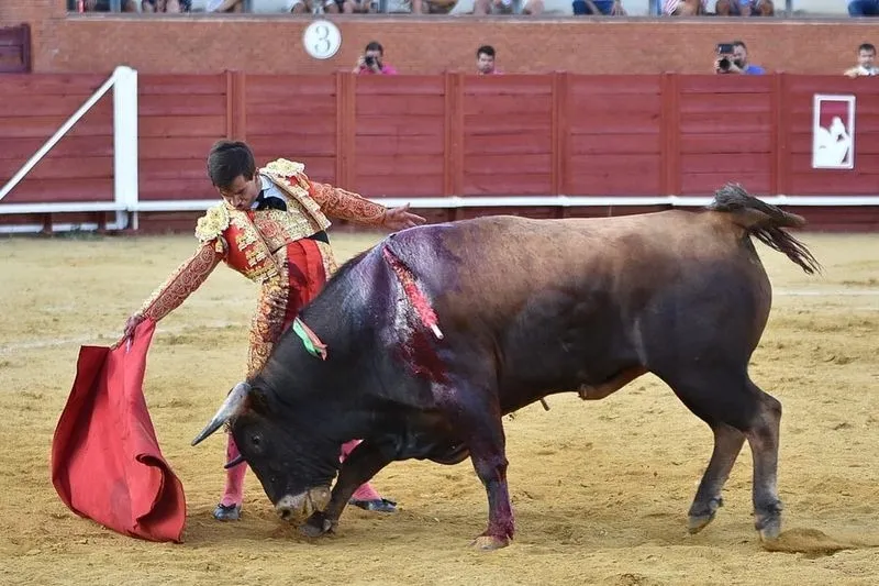 Actuaciones de Ismael Martín y Jesús de la Calzada. Fotos: @CircuitoNovilladasCyL  