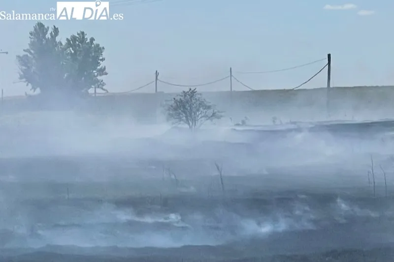 Foto 8 - Bomberos de Pe&ntilde;aranda sofocan un violento incendio declarado en el termino de Nava de Sotrobal