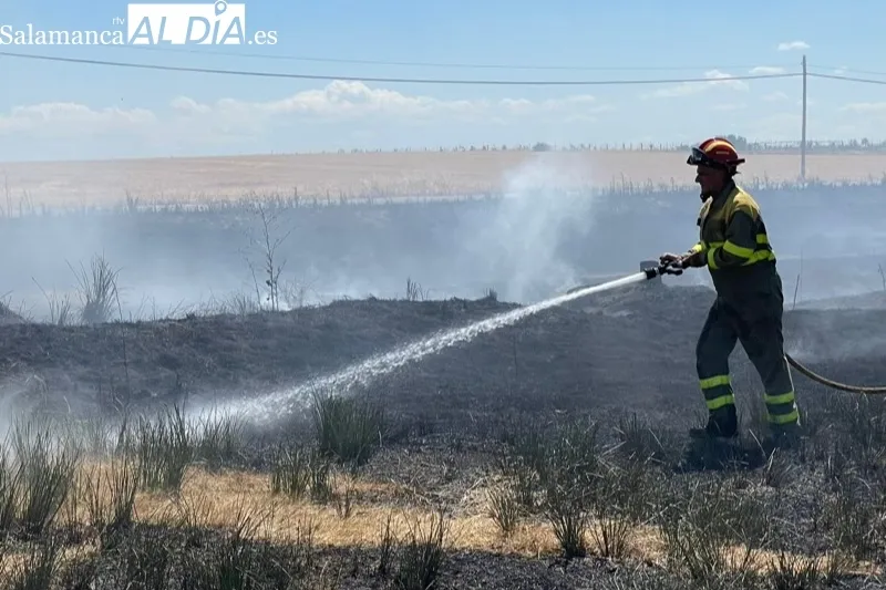Foto 4 - Bomberos de Pe&ntilde;aranda sofocan un violento incendio declarado en el termino de Nava de Sotrobal