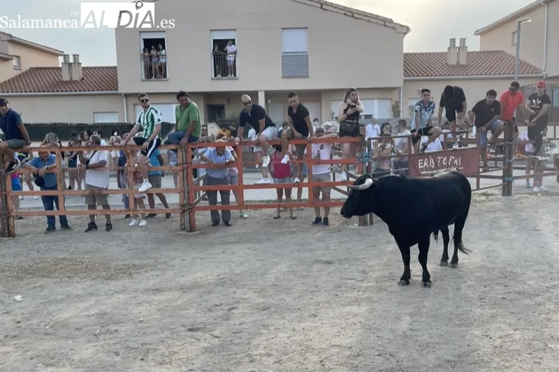 Foto 5 - Villoruela se echa a las calles para vivir el esperado Toro de Caj&ograve;n