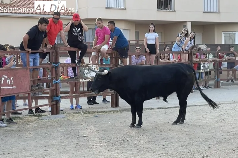 Foto 7 - Villoruela se echa a las calles para vivir el esperado Toro de Caj&ograve;n