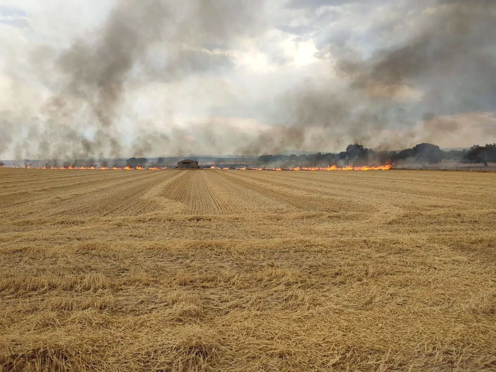 Foto 3 - Sofocado un potente incendio declarado en el termino de Santiago de la Puebla 